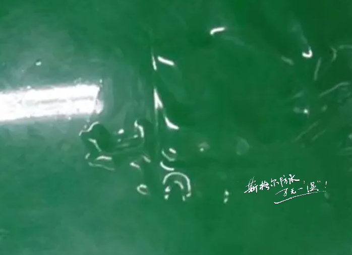 聚氨酯防水涂料施工后出现气孔、气泡、起鼓或脱层原因分析和解决办法
