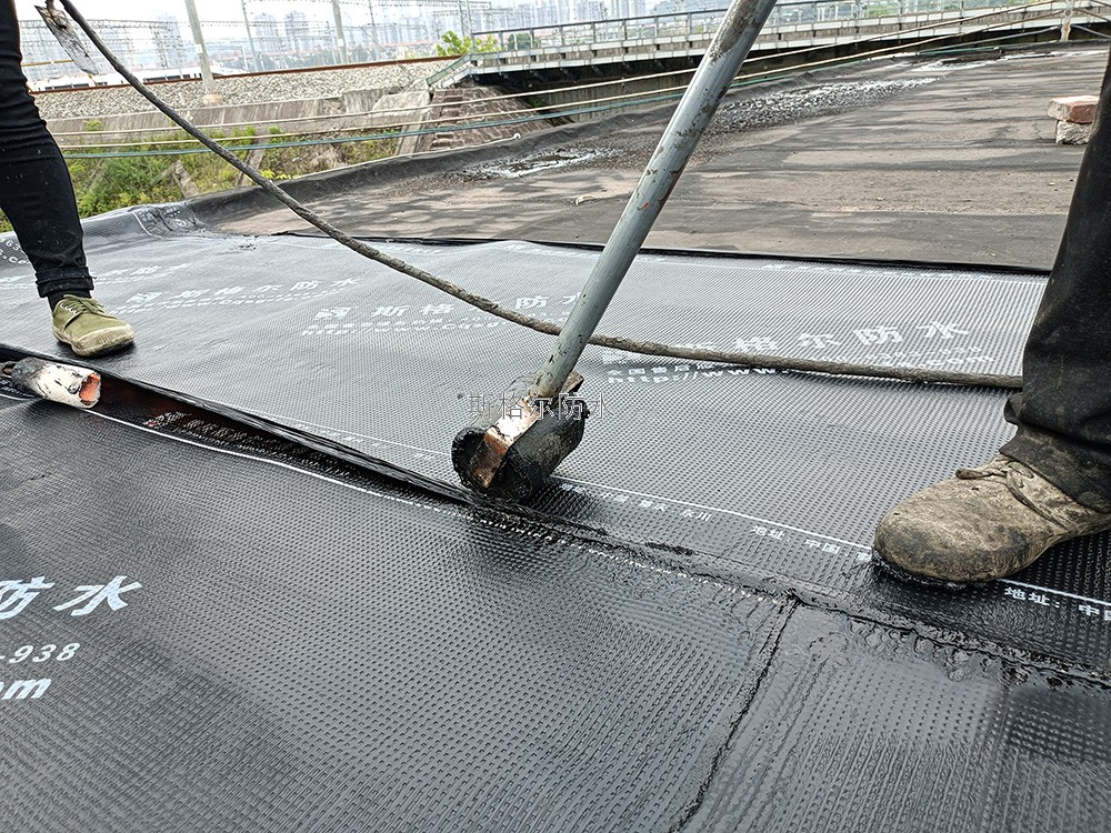 斯格尔防水案例-厂房屋顶防水施工案例